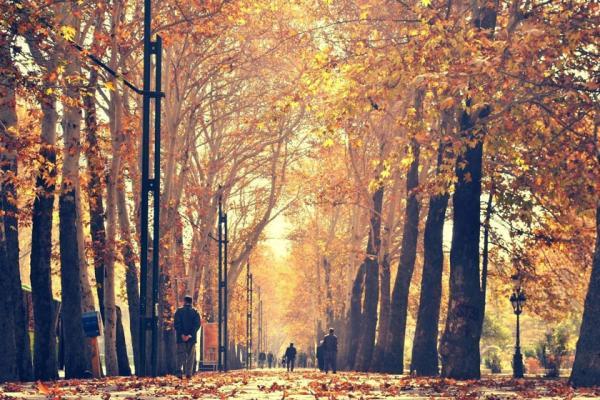 خیابان ولیعصر در آستانه ثبت جهانی