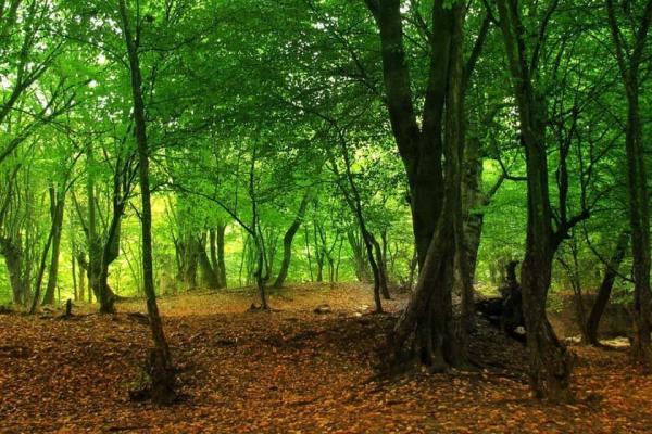 سند بخشی از پارک ملی گلستان در اختیار اداره منابع طبیعی نهاده شد
