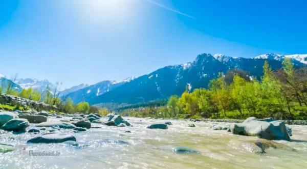 معمای توهم نوری: اگر تیزبین هستید در کمتر از 14 ثانیه گراز معمای توهم نوری: اگر تیزبین هستید در کمتر از 14 ثانیه گراز را در این تصویر پیدا کنید!