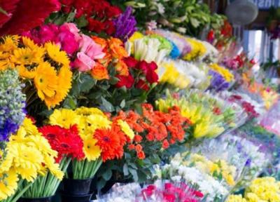 چرا تهرانی ها عادت نداشتند گل بخرند؟