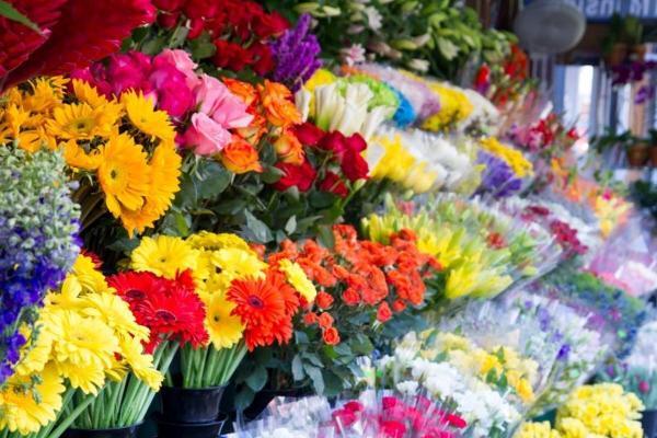 چرا تهرانی ها عادت نداشتند گل بخرند؟