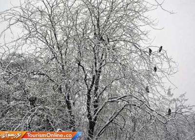 این 15 استان منتظر برف و باران باشند